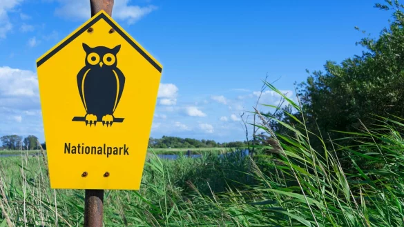 In NRW soll ein zweiter Nationalpark entstehen. In OWL laufen die Diskussionen seit vielen Monaten. - &copy; imago images/IlluPics