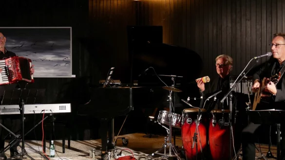 Sie boten eine Mischung aus Swing und Jazz: G&eacute;za G&aacute;l am Akkordeon, Wolfram B&auml;se-J&ouml;bges und Michael Strauss (von links). - &copy; Thomas Kr&uuml;gler