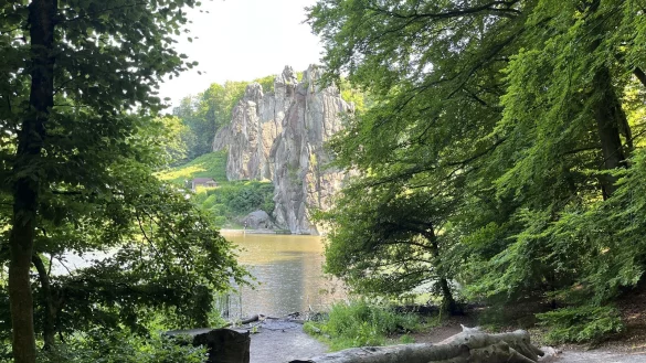 Die Externsteine vom W&auml;ldchen aus gesehen. Hier wird am Sonntag eine F&uuml;hrung mit Blick in die Grotte angeboten. - &copy; Jana Beckmann