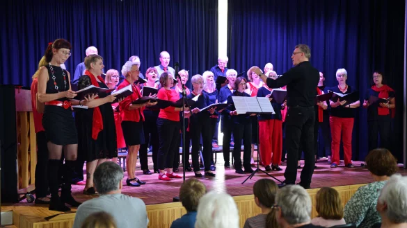 La Musica Brake - &copy; Nicole Ellerbrake