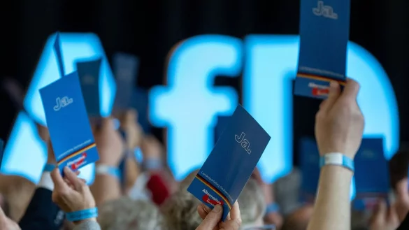 Die AfD hat im Kreis G&uuml;tersloh mit der CDU gegen die Stalag-Pl&auml;ne gestimmt. Ihre Stimmen waren aber nicht ausschlaggebend. - &copy; Hendrik Schmidt