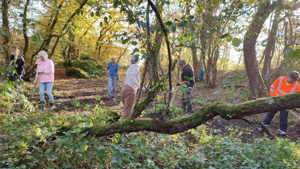 Die Mitglieder des Naturschutzbundes engagieren sich regelm&auml;&szlig;ig in Arbeitseins&auml;tzen, wie auf dem Foto an der Mergelkuhle in Evenhausen. - &copy; Nabu