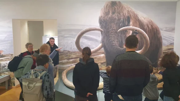 Das Museum wirbt mit spannenden arch&auml;ologischen Funden und einzigartigen Visualisierungen. - &copy; Lippisches Landesmuseum Detmold