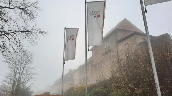 Wenn das Landesjugendamt gr&uuml;nes Licht gibt, k&ouml;nnte schon bald an der Burg Sternberg der geplante Waldkindergarten entstehen. - &copy; Lorraine Brinkmann