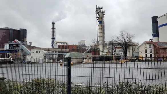 Die Bilanz der Zuckerfabrik f&auml;llt gemischt aus. Das Wetter und Sch&auml;dlinge haben den Ertrag gemindert. - &copy; Astrid Sewing