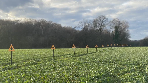 Orangene Dreiecke in Reih und Glied symbolisieren auf einem Feld in Elverdissen den Widerstand gegen die Planung einer Neubautrasse, die hier verlaufen würde. - © Bürger für Herford