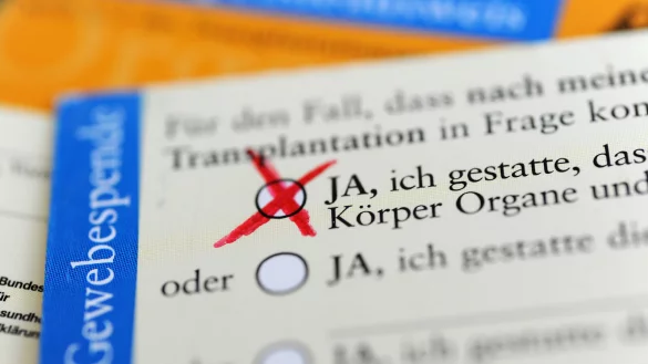 Mit dem Organspendeausweis kann man seinen Willen dokumentieren, doch die Mehrheit der Deutschen nutzt den Ausweis nicht. - &copy; dpa