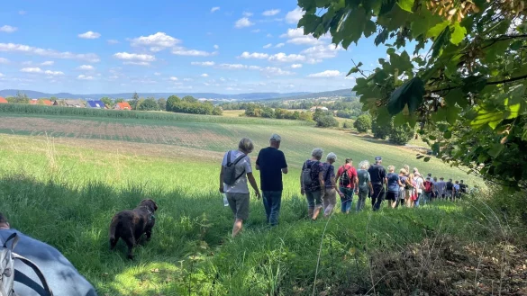 Gemeinsam auf noch nie erwanderten Wegen. Das neue Wanderprogramm bietet abwechslungsreiche Touren. - &copy; Marketing Extertal