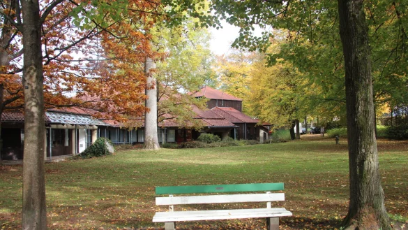 Der Kurpark in Bad Meinberg. - © Cordula Gröne