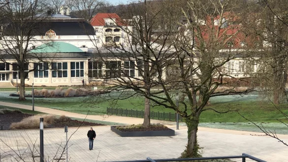 Die Eiche in der Bildmitte (im Hintergrund) im Kurpark muss gef&auml;llt werden. - &copy; Thomas Reineke