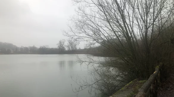 Liegt unschuldig da, als sei sei nichts gewesen: der Norderteich ist derzeit gut gef&uuml;llt. - &copy; Martin Hostert