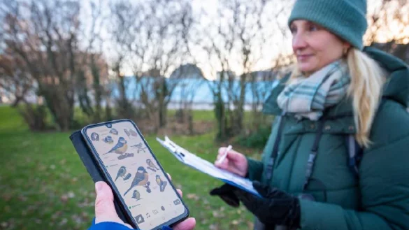 Der Nabu ruft dazu auf, die Winterv&ouml;gel zu z&auml;hlen und ihm mitzuteilen. - &copy; Nabu/Sebastian Hennigs