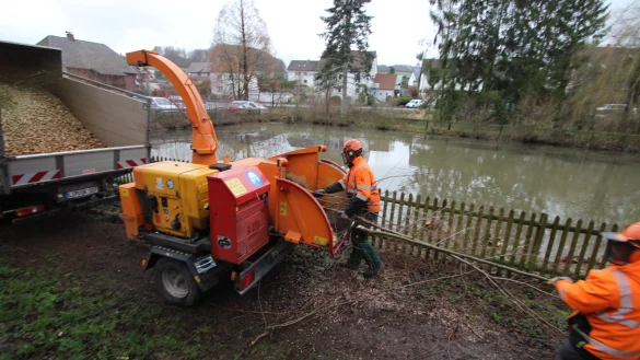 Bauhof-Mitarbeiter k&uuml;mmern sich am Donnerstag um den Geh&ouml;lzschnitt am Ententeich in Hohenhausen. Das Areal wird aus Geldmangel nicht neu gestaltet. - &copy; Jens Rademacher