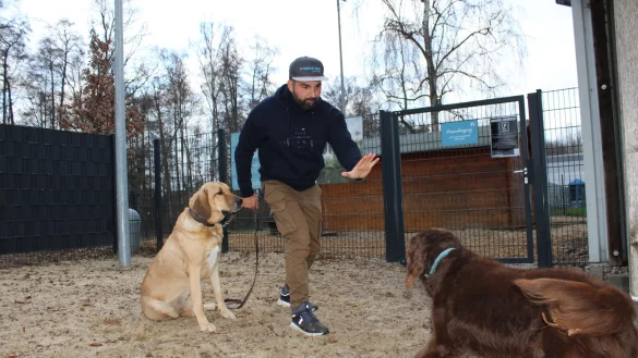 Auf Distanz halten: Mustafa Irmak zeigt, wie sich Hundebesitzer selbst und ihren Vierbeiner vor anderen Hunden sch&uuml;tzen k&ouml;nnen. - &copy; Nico D&uuml;llmann