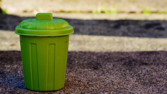 Gr&uuml;ne M&uuml;lltonne - &copy; Pixabay