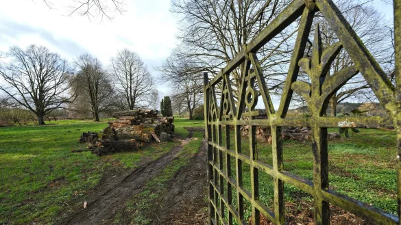 Der ehemalige Friedhof am Langelohweg zwischen Heidenoldendorf und Hiddesen soll k&uuml;nftig f&uuml;r Baumpflanzungen genutzt werden. Daf&uuml;r wird gerade ein Grobkonzept erstellt. - &copy; Archivfoto: Sven Koch