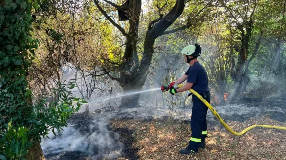 Die Feuerwehr löscht einen Flächenbrand nördlich der Hamelner Straße in Bösingfeld. Dort standen am Mittwoch etwa 50 Quadratmeter in Flammen. - © Löschzug Bösingfeld