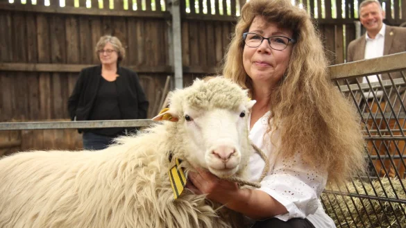 Sch&auml;ferin Ortrun Humpert mit einer Moorschnucke, eine von drei vom Aussterben bedrohten Schafrassen, die in dem Betrieb gez&uuml;chtet werden. - &copy; Burkhard Battran