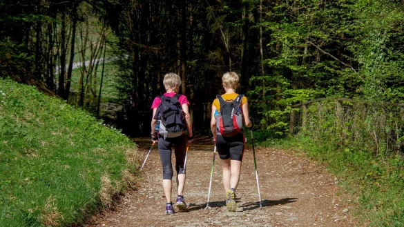 Waldwege teilweise nicht nutzbar: Der Kaiser-Wilhelm-Weg und der Gr&uuml;ne Weg zu F&uuml;&szlig;en des Hermannsdenkmals m&uuml;ssen aufgrund von F&auml;llarbeiten f&uuml;r rund zwei Wochen gesperrt werden. - &copy; Symbolbild Pixabay