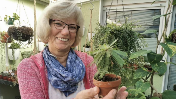 Macht sich angesichts der hohen Gaspreise Sorgen um ihre Zimmerpflanzen-Rarit&auml;ten: die Humfelderin Ursula Wiegel, hier mit der kleinsten Palme der Welt. - &copy; Sylvia Frevert
