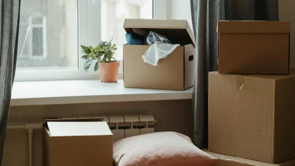 Damit ein Umzug keine Katastrophe wird, ist die Wahl des richtigen Umzugsunternehmen wichtig. - © pexels/cottonbro