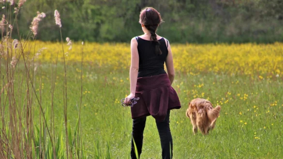 Eine Taschengeldb&ouml;rse vermittelt zwischen Jugendlichen und Senioren f&uuml;r kleinere Arbeiten im Alltag. Dazu z&auml;hlen Spazierg&auml;nge mit dem Hund oder Gartenarbeiten. - &copy; Symbolbild: Pixabay