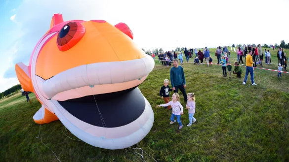 Der 18,5 Meter lange und 6 Meter hohe Fisch war ein Blickfang des Drachenfestes. Aus der N&auml;he betrachtet, wirkte der fliegende Meeresbewohner vor allem f&uuml;r die Kindern noch eindrucksvoller. - &copy; Nicole Ellerbrake