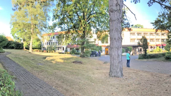 Auf dem Gel&auml;nde des Sophienhauses (im Hintergrund das Hauptgeb&auml;ude) befinden sich einige sch&ouml;ne alte B&auml;ume. F&uuml;r die geplanten zehn Neubauten w&uuml;rden einige weichen m&uuml;ssen. Das gilt &uuml;brigens auch f&uuml;r die alten H&auml;user, sie w&uuml;rden abgerissen. Foto: Thomas Reineke - &copy; Thomas Reineke