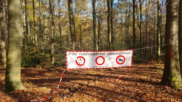 Aktuell sind im Lemgoer Stadtwald einige Wege wegen F&auml;llarbeiten gesperrt - besonders auf dem Wanderweg A2 und A3 geht es hier und dort nicht weiter. - &copy; Stadt Lemgo