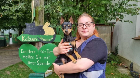 Katzenhausleiterin Anne Mähling teilt sich ihr Büro derzeit mit Hund Jack. Der Pinscher stammt aus Kiew und ist mit seinem Frauchen vor den Kriegswirren geflohen. - © Fotorechte: Tierheim Gütersloh