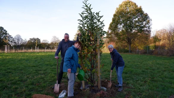 Frank und Karin Drexhage haben ihre Esskastanie gepflanzt und freuen sich darauf, wie sich der Baum in den kommenden Jahren entwickelt. Unterst&uuml;tzung gab es von Margarete Wi&szlig;mann vom Fachteam Umweltplanung (Mitte). - &copy; Lorraine Brinkmann