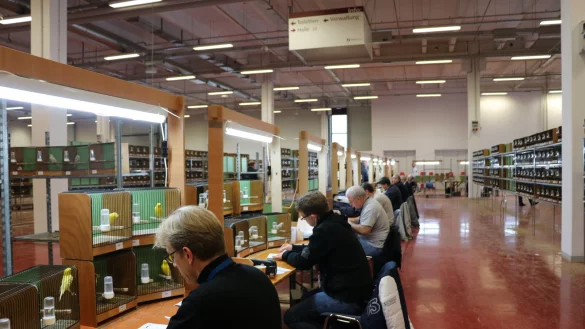 Die Preisrichterichter bewerten in der Messehalle Tausende V&ouml;gel. - &copy; Till Sadlowski