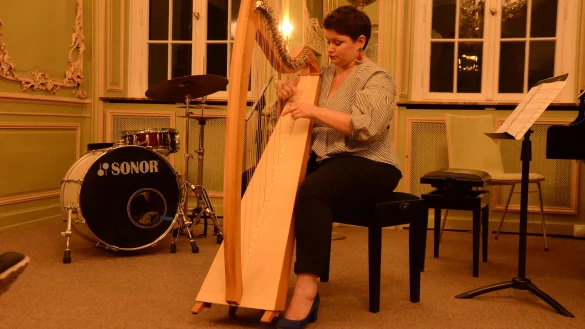 Die Musiklehrerin Cl&eacute;mence Aguila aus Millau entzauberte der keltischen Harfe wundersch&ouml;ne T&ouml;ne und spielte vornehmlich St&uuml;cke bretonischer Komponisten (Foto: Georg K&auml;lble). - &copy; Georg K&auml;lble