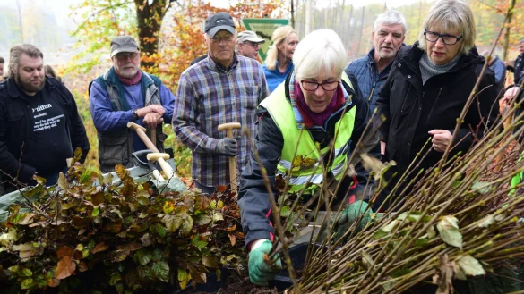 Christiane Peters verteilt das Pflanzgut unter ihren Mitstreitern. - &copy; Nicole Ellebrake