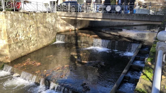 Das Flussbett der Salze wird in H&ouml;he der Dammstra&szlig;en-Br&uuml;cke in den kommenden Wochen v&ouml;llig neu gestaltet. Insgesamt werden 650 Tonnen Natursteine auf dem Boden zu einer Rampe aufgesch&uuml;ttet, die Fische und Kleinstlebewesen dann auch Richtung Kurpark wieder passieren k&ouml;nnen. Die alte Fischtreppe (rechts) im Bild hat sich als nicht tauglich erwiesen. - &copy; Thomas Reineke