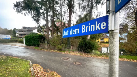 Auf einem Grundstück an der Straße "Auf dem Brinke" in Hiddesen könnte bis zum Kindergartenjahr 2023/24 ein neuer Waldkindergarten entstehen. - © Raphael Bartling