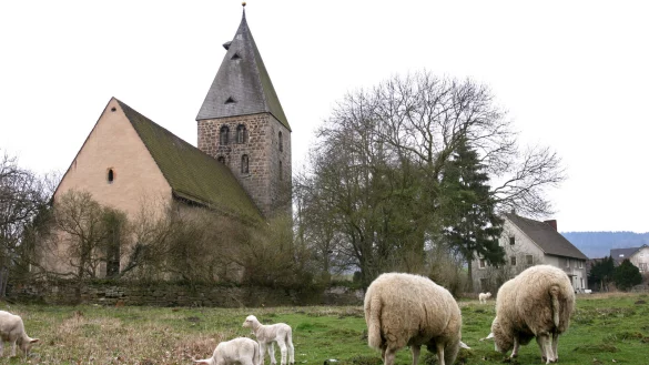 Erstmals beginnt die Synode in Heiligenkirchen, bevor die Synodalen ins R&ouml;merhaus fahren. - &copy; Archivfoto: Bernhard Preuss
