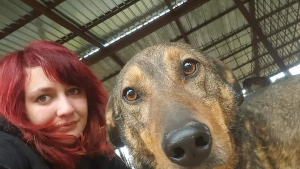 Die erste Vorsitzende des Vereins Hundehilfe ohne Grenzen aus G&uuml;tersloh Sarah Borree k&uuml;mmert sich mit anderen zusammen um Stra&szlig;enhunde in Rum&auml;nien. - &copy; Hundehilfe ohne Grenzen