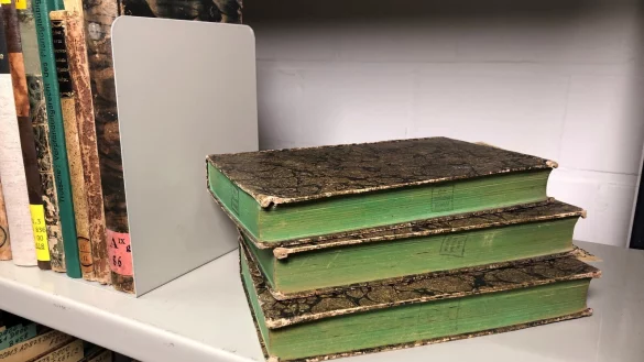 Stapel mit B&uuml;chern mit gr&uuml;nem Buchschnitt in der Bielefelder Unibibliothek, die auf Arsenbelastung hin &uuml;berpr&uuml;ft werden. - &copy; Julia B&ouml;mer/Universit&auml;t Bielefeld/dpa