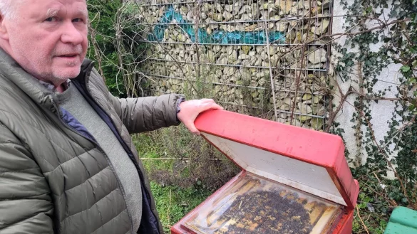 J&uuml;rgen Reitemeier zeigt eines seiner Bienenv&ouml;lker. Je nach Jahreszeit kann die Population auf &uuml;ber 40.000 Bienen steigen. - &copy; Raffael Giebel