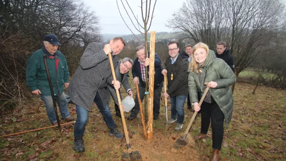 Das Kalldorfer Prinzenpaar Kim und Timo Engelhardt (vorne, von rechts) pflanzt einen Pflaumenbaum im Kalldorfer Prinzessinnenwald. Unterst&uuml;tzung kommt von (von links) Horst Schwarze, dem Landtagsabgeordneten Alexander Baer, Landrat Dr. Axel Lehmann und dem Kalldorfer SPD-Chef Wilfried Gerkensmeier. Im Hintergrund sehen Sitzungspr&auml;sident Thomas Wiesener (rechts) und Bundestagsabgeordneter J&uuml;rgen Berghahn zu. - &copy; Jens Rademacher