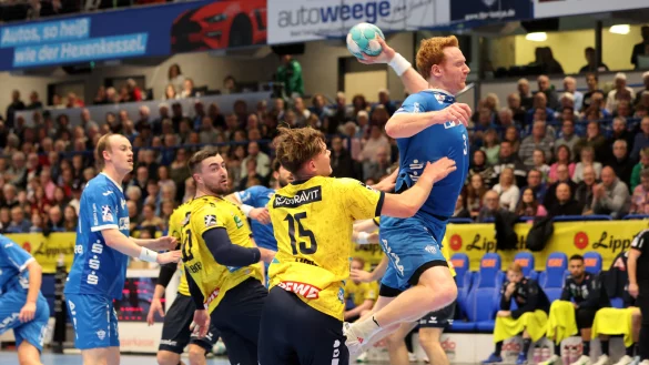 Die Lipper brauchen keinen Rosenmontag, um in Stimmung zu kommen. - &copy; Paul Cohen