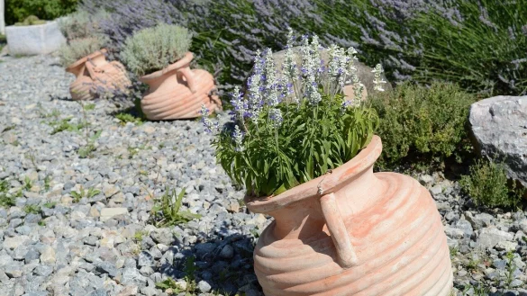 Schotterungen sind zur Gestaltung von Gartenfl&auml;chen laut Landesbauordnung nicht zugelassen. - &copy; Symbolfoto: Pixabay