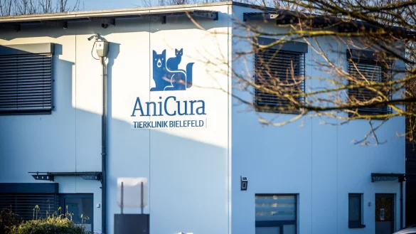 Die Bielefelder Tierklinik hat ihr Angebot wieder aufs Wochenende erweitert. Zumindest teilweise. - &copy; Sarah Jonek Fotografie