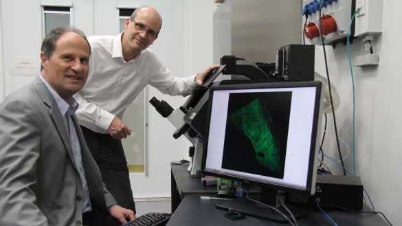 Physiker Thomas Huser (l.) und Chirurg Jan Schulte am Esch betrachten die Aufnahme einer Lebergewebeprobe, auf der die Gewebestrukturen und Gallengänge zu sehen sind. Visualisierungen dieser Art nutzen die Beiden für ihre Forschung. - © Carolin Nieder-Entgelmeier