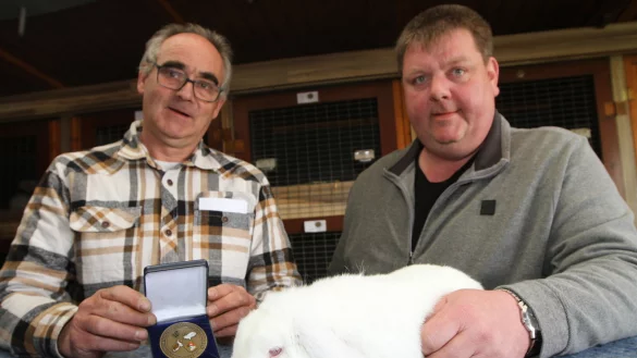 Ehrung f&uuml;r Sven B&uuml;ltemeyer (rechts). Kai Sander zeichnet den Bad Saltzufler Z&uuml;chter mit der Kammermedaile aus. Der "Wei&szlig; Langohr"-Rammler bleibt davon unbeeindruckt. - &copy; Martin Hostert