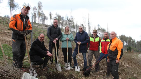 Aufforstung: In Aktion sind (von links) Sascha Stephan (Forstwirt), J&ouml;rg D&uuml;ning-Gast (Verbandsvorsteher Landesverband Lippe), Jens Beining (CEO Wortmann), Sarah Schr&ouml;der und Andreas Burmeister (Projektteam Wortmann), Hermann Kaiser (Revierf&ouml;rster), Jan-Otto Hake (Leiter der Forstabteilung mit Dackel Ludwig) und Wolfram Arlt (Forstwirt). - &copy; Wortmann