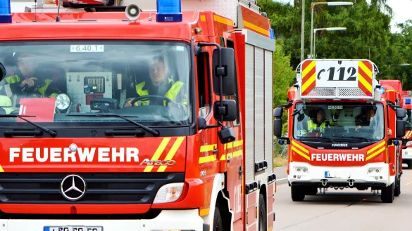 Potenziale und Herausforderungen im Feuerwehr-Ehrenamt in Lippe zeigt der dritte Werksattbericht auf. - &copy; Symbolbild Pixabay
