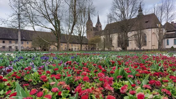 Vor der Kulisse der Welterbest&auml;tte Corvey bl&uuml;hen im Remtergarten die ersten Blumen. - &copy; Michaela Wei&szlig;e
