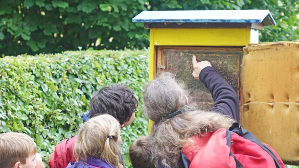 Eine Ferienaktion im Freilichtmuseum Detmold dreht sich um Bienen. Zunächst werden die Bienen vorgestellt, dann können die Kinder Kerzen aus Bienenwachs rollen. - © Robin Jähne